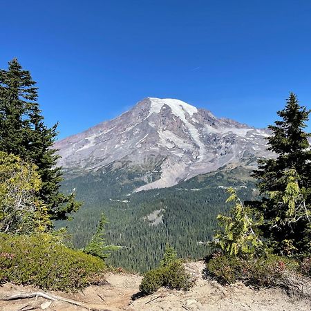 New Modern Cabin! 5Mi To Mt Rainier National Park! Hot Tub & Wifi แอชฟอร์ด ภายนอก รูปภาพ