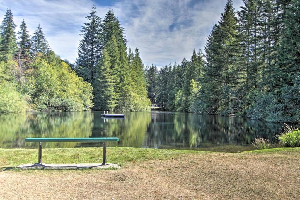 New Modern Cabin! 5Mi To Mt Rainier National Park! Hot Tub & Wifi แอชฟอร์ด ภายนอก รูปภาพ