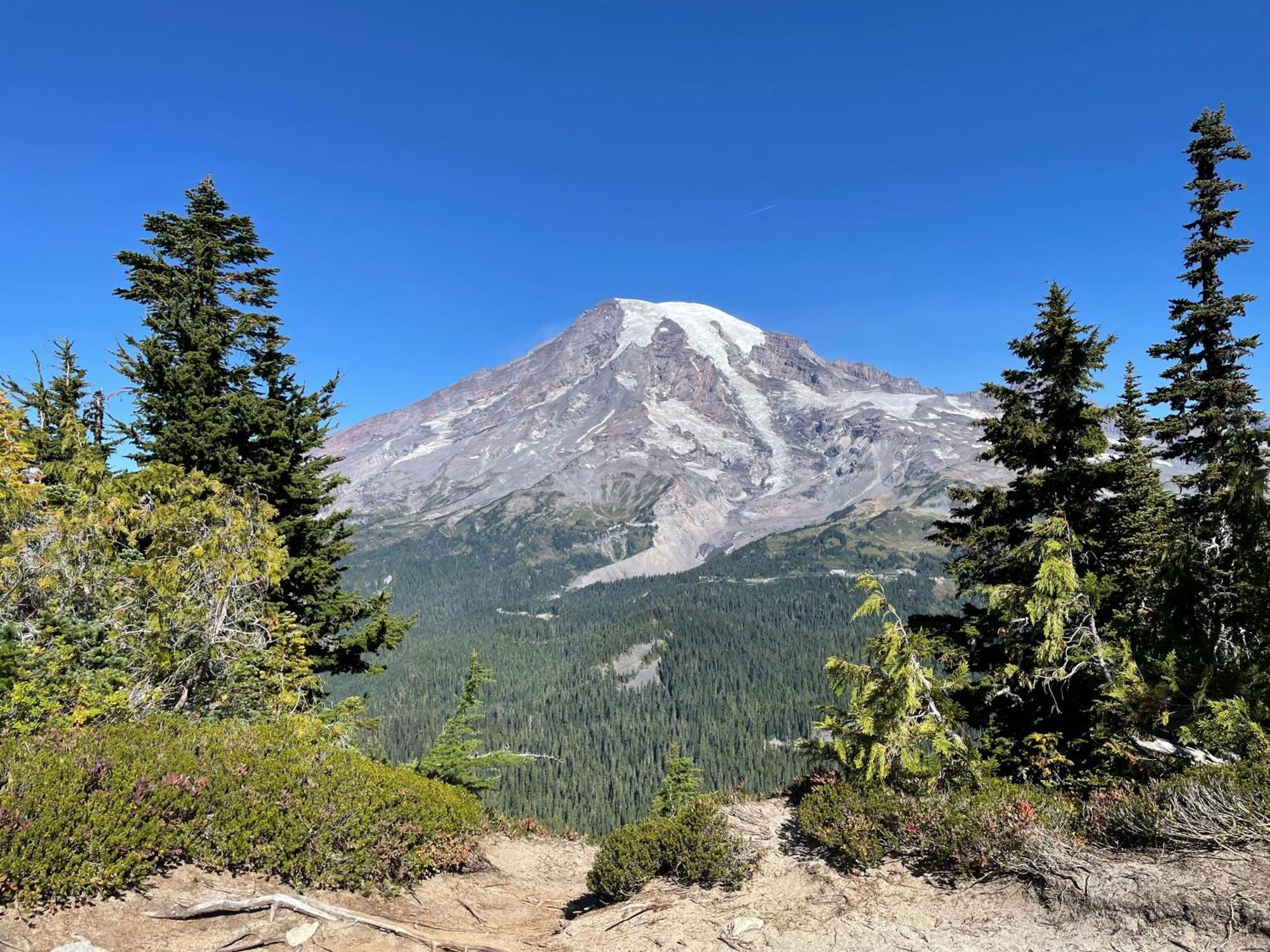 New Modern Cabin! 5Mi To Mt Rainier National Park! Hot Tub & Wifi แอชฟอร์ด ภายนอก รูปภาพ