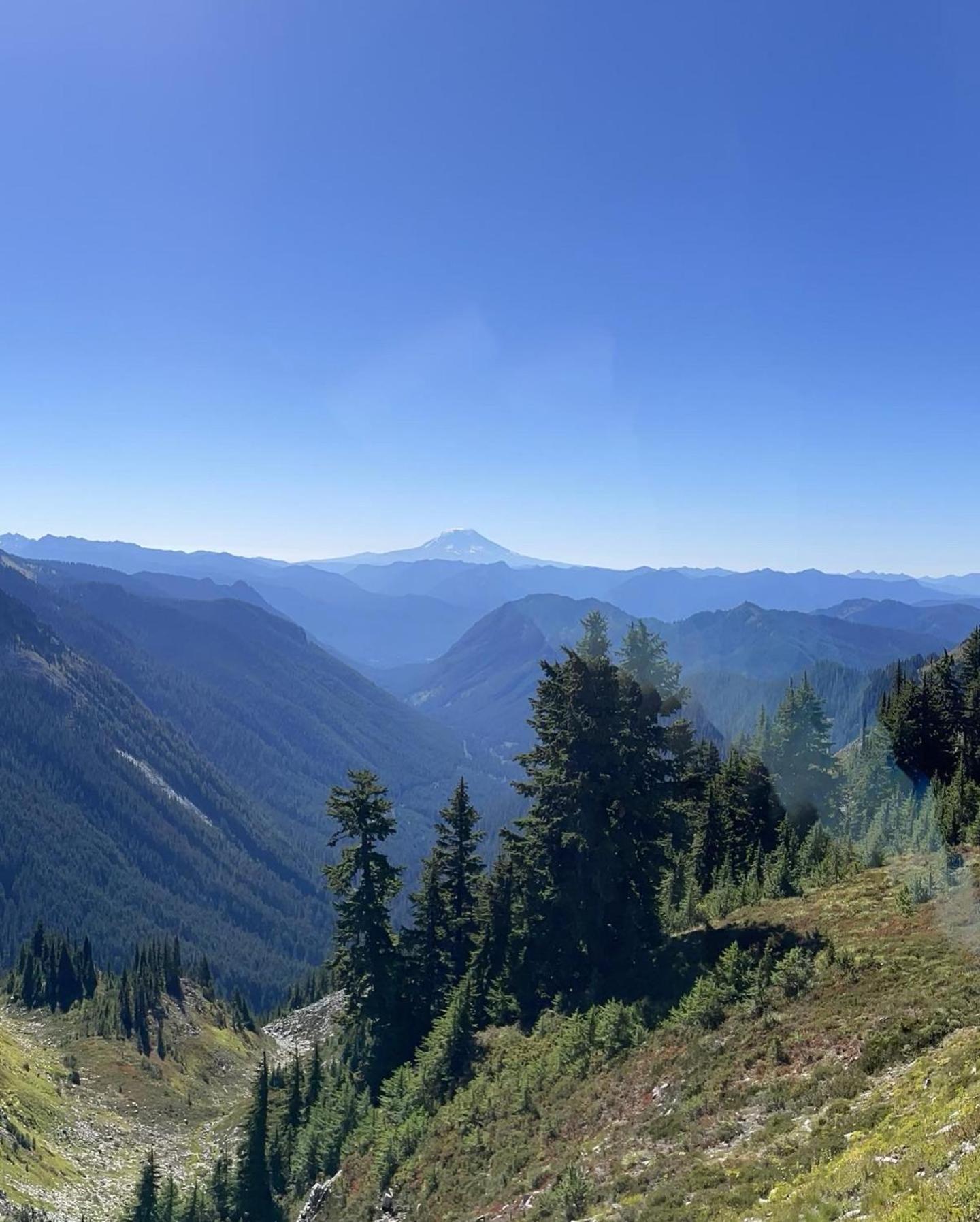 New Modern Cabin! 5Mi To Mt Rainier National Park! Hot Tub & Wifi แอชฟอร์ด ภายนอก รูปภาพ